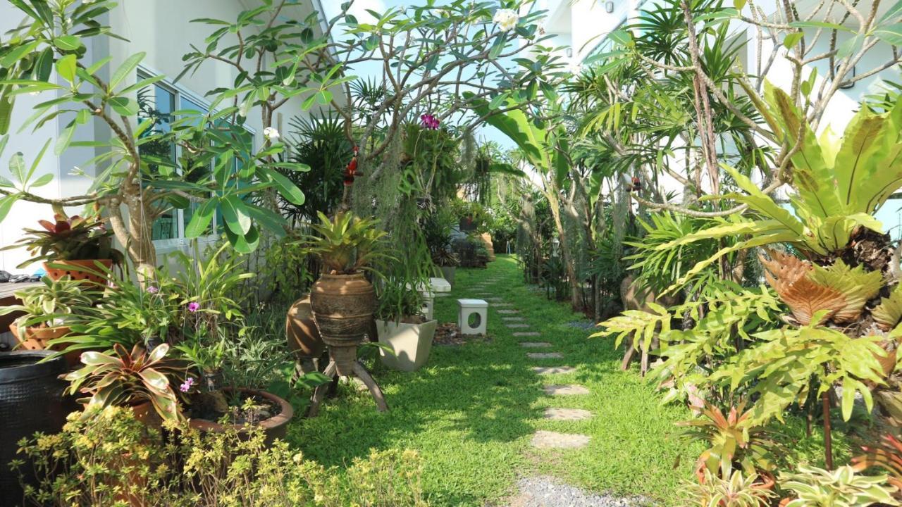 فندق The Tree Samui بوفوت المظهر الخارجي الصورة