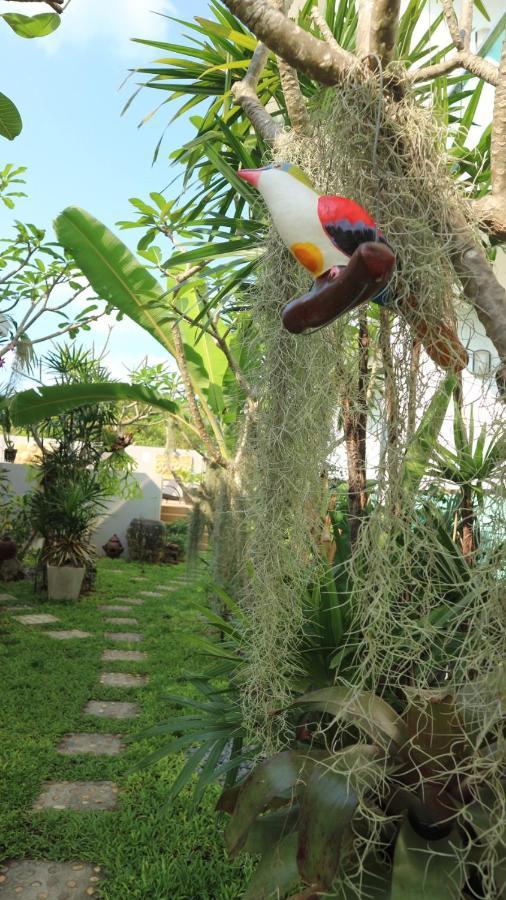 فندق The Tree Samui بوفوت المظهر الخارجي الصورة